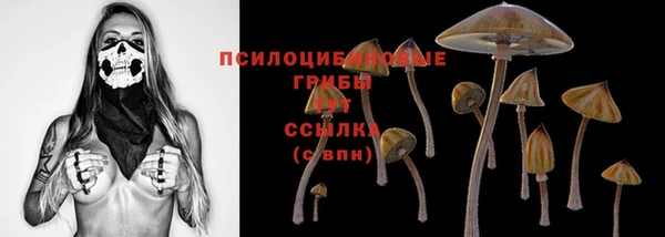 гидра Абдулино