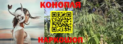 прущие крисы Пенза