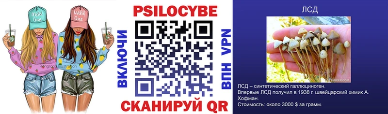 Псилоцибиновые грибы GOLDEN TEACHER Черкесск