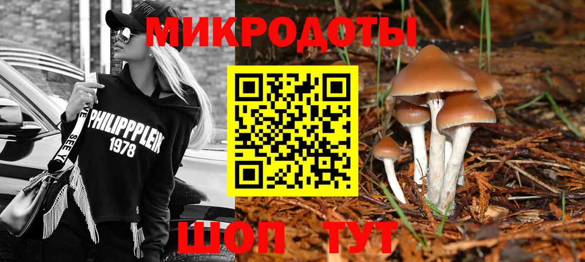 Псилоцибиновые грибы прущие грибы  Вход с VPN  Черкесск 